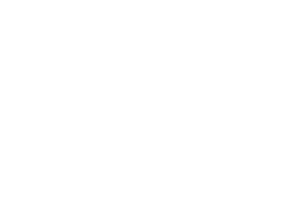 Bewässerungssack-baumbewässerung TreeBuddy Logo