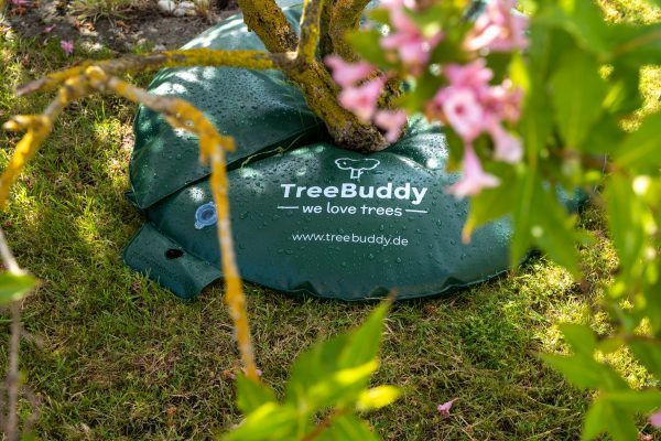 TreeBuddy Ring für Baumbewässerung